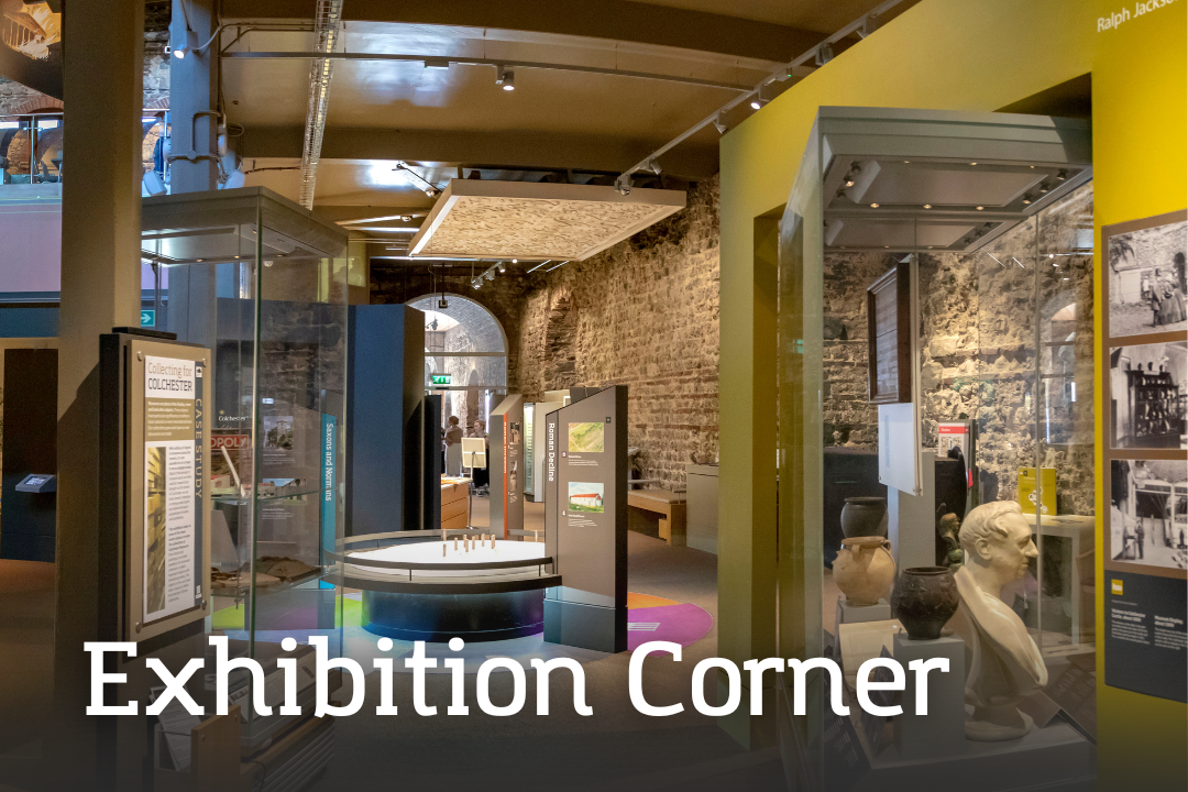 Exhibition Corner Exhibition Corner A bright corner of a museum gallery with multiple display cases, interpretive panels, and artefacts arranged against exposed historic brick walls.